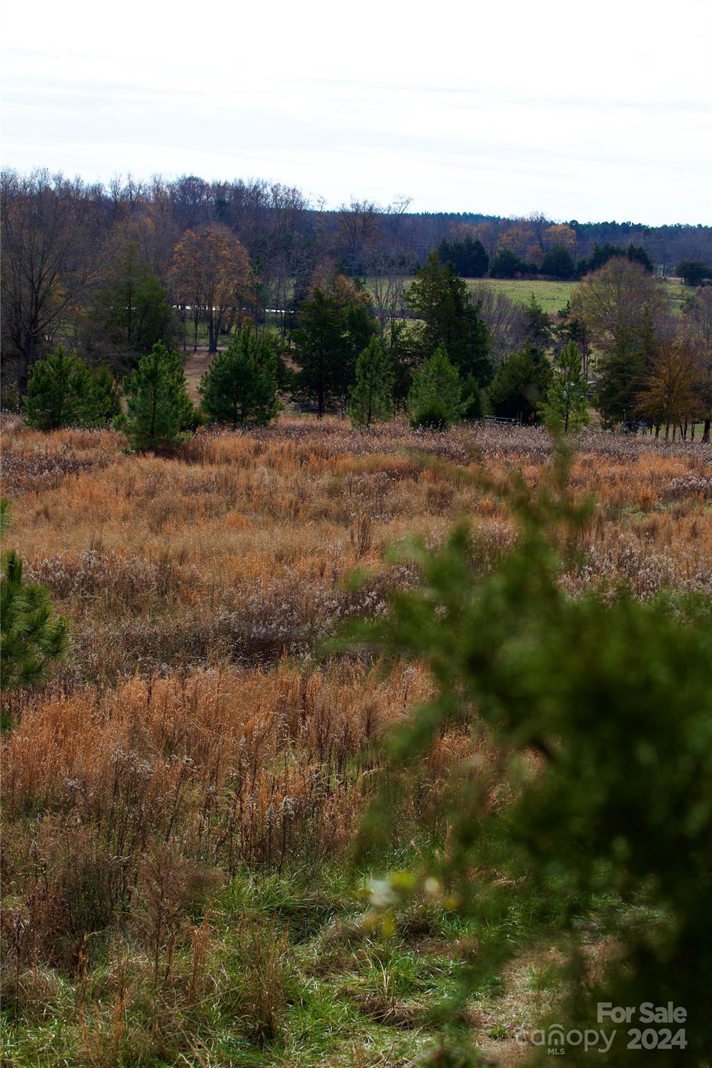 00 Deerwood Road