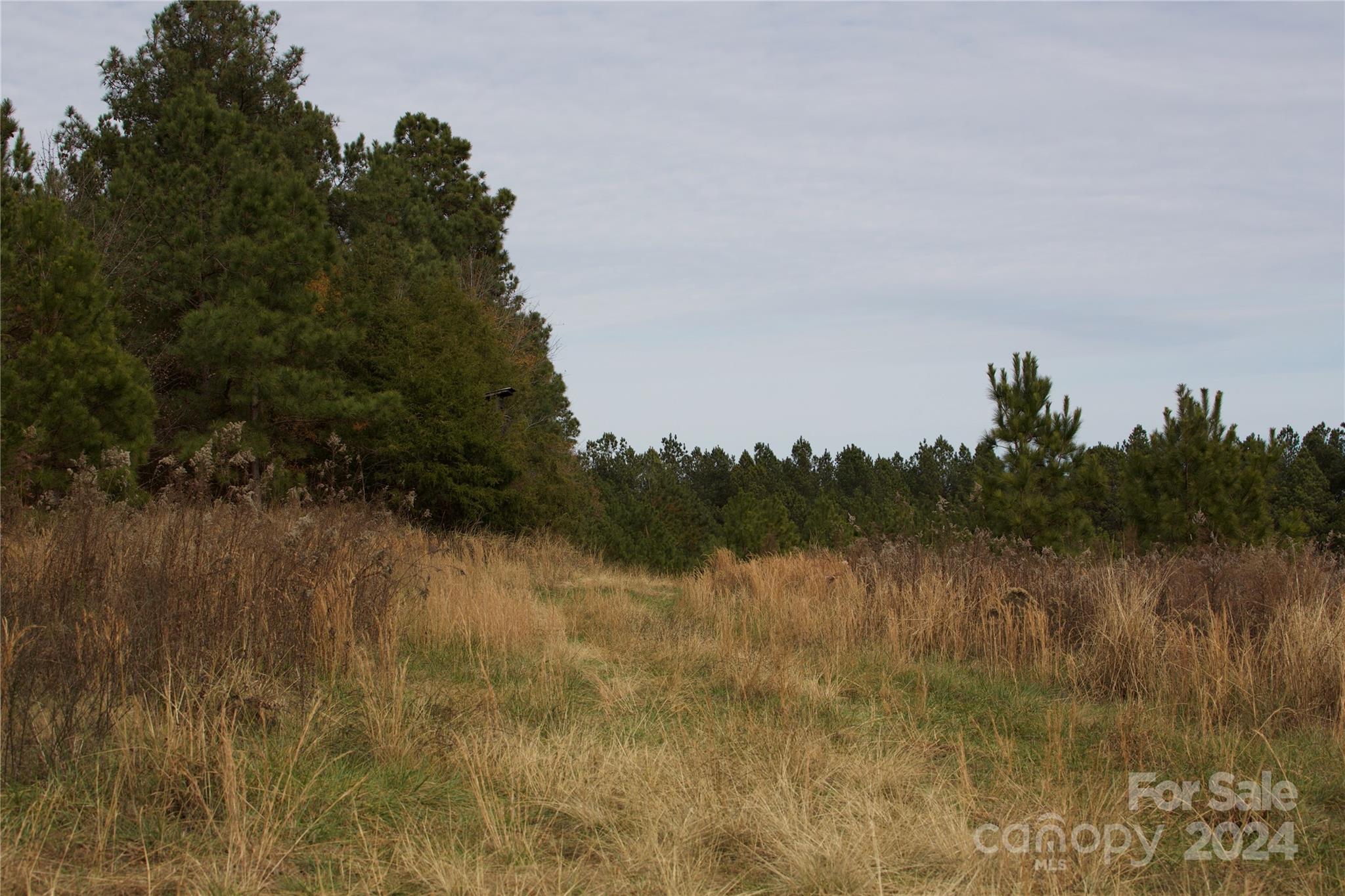00 Deerwood Road