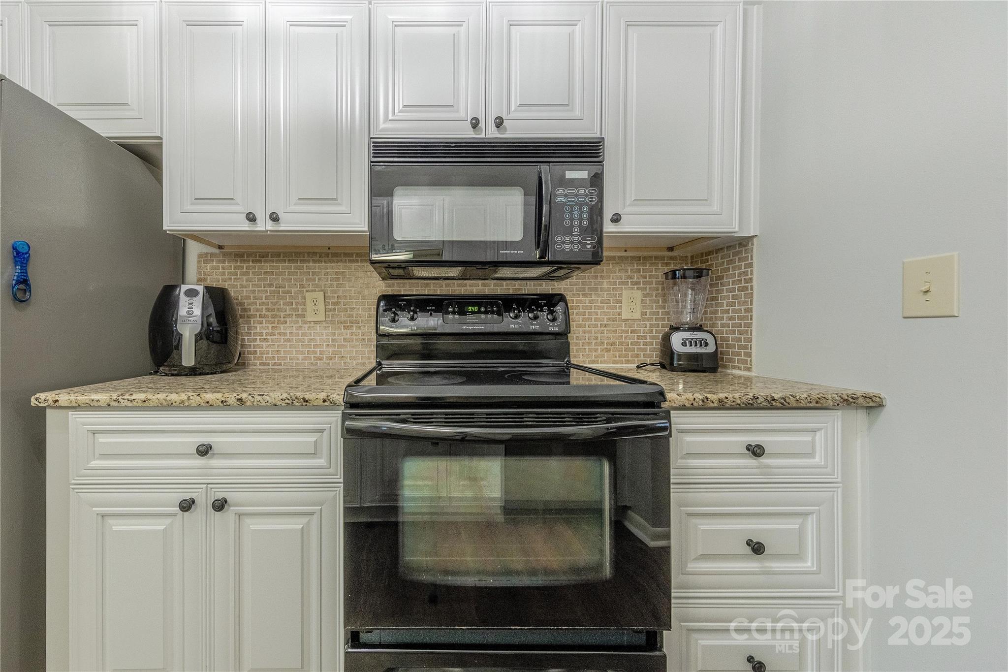 1025 Sardis Cove Drive