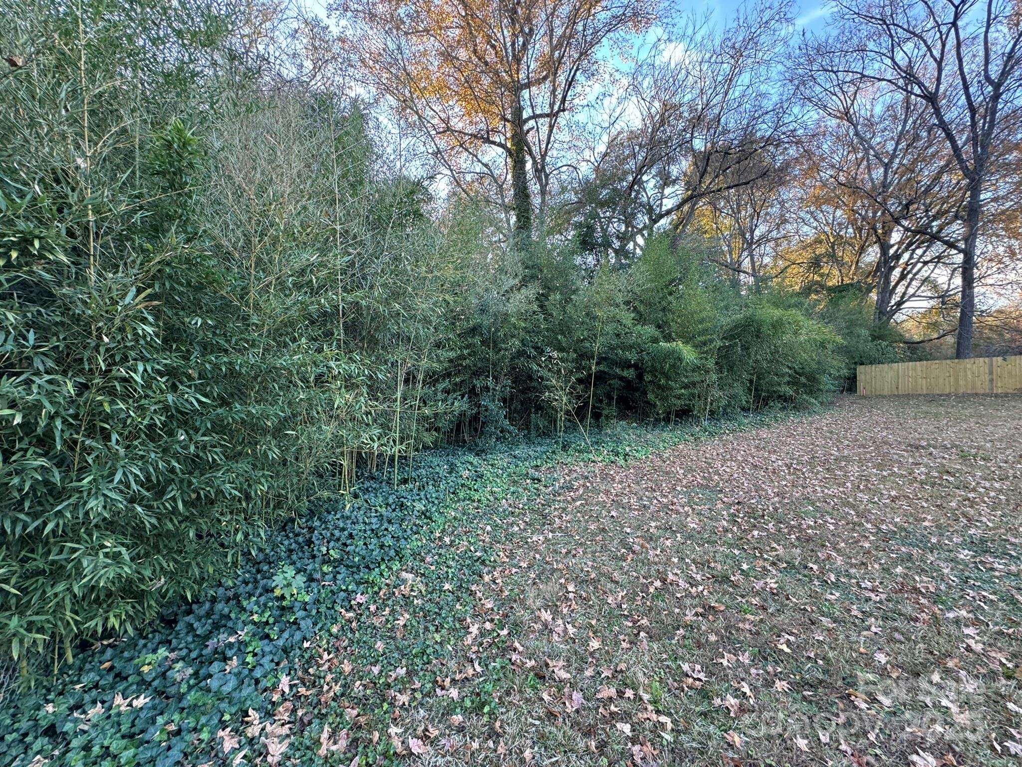 TBD Williams Estate Drive