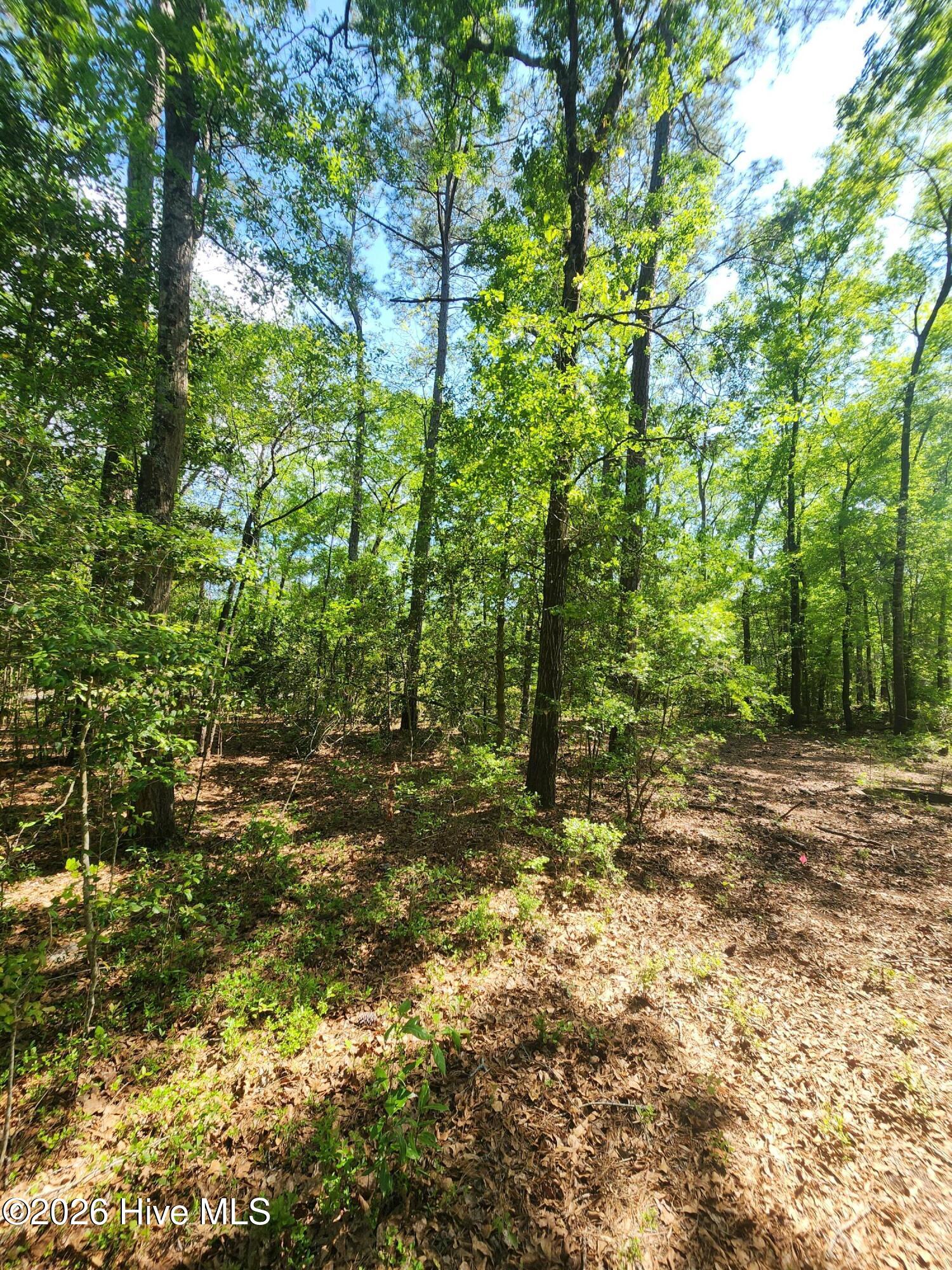 Lot 4 Shaw Highway
