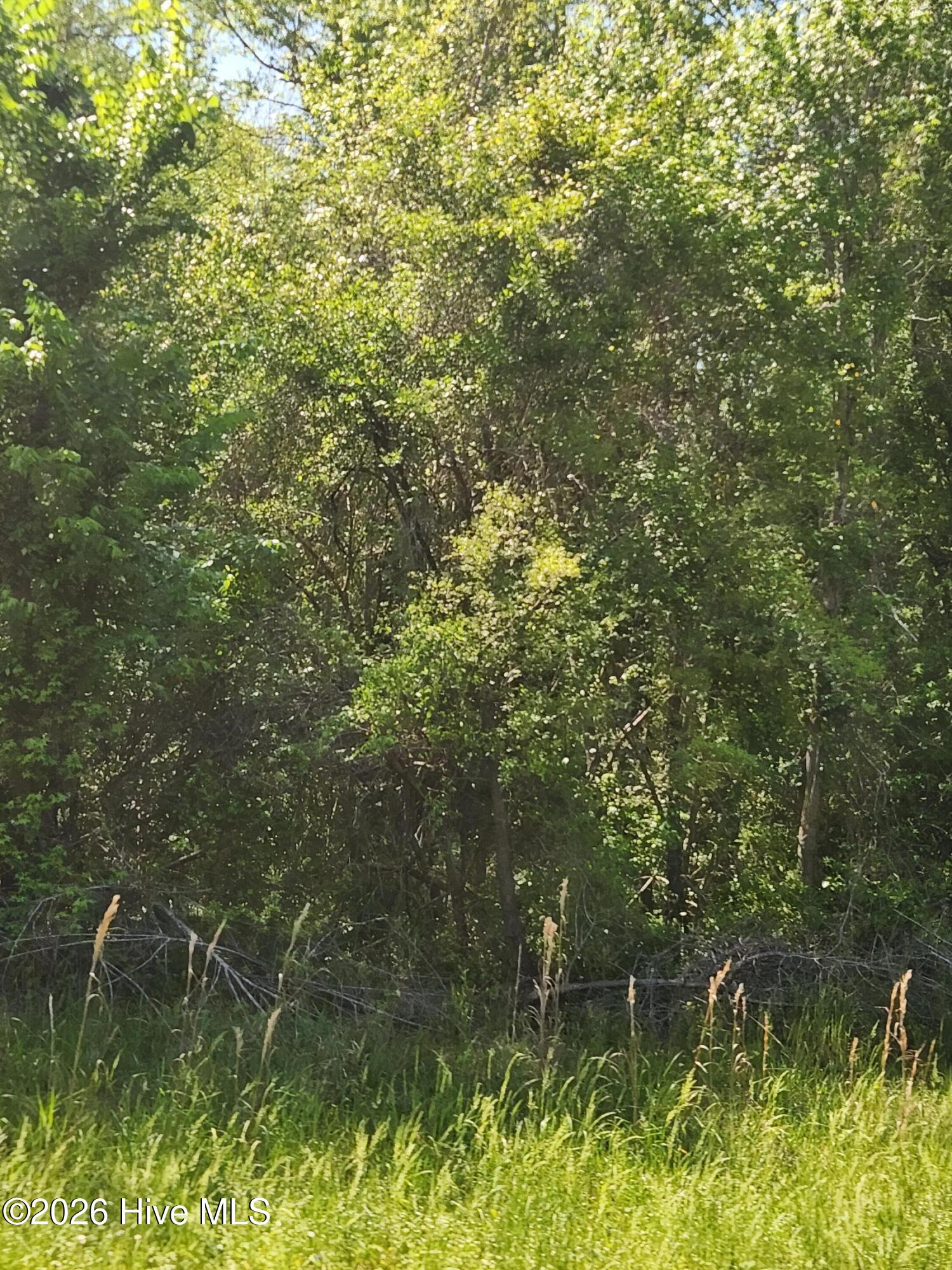 Lot 4 Shaw Highway