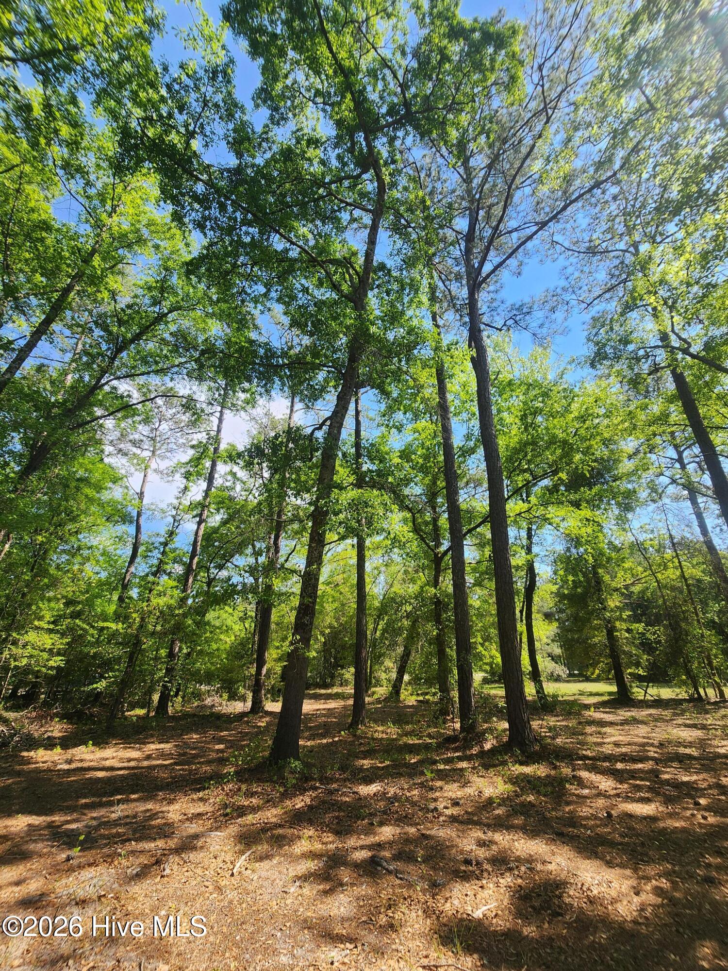 Lot 4 Shaw Highway