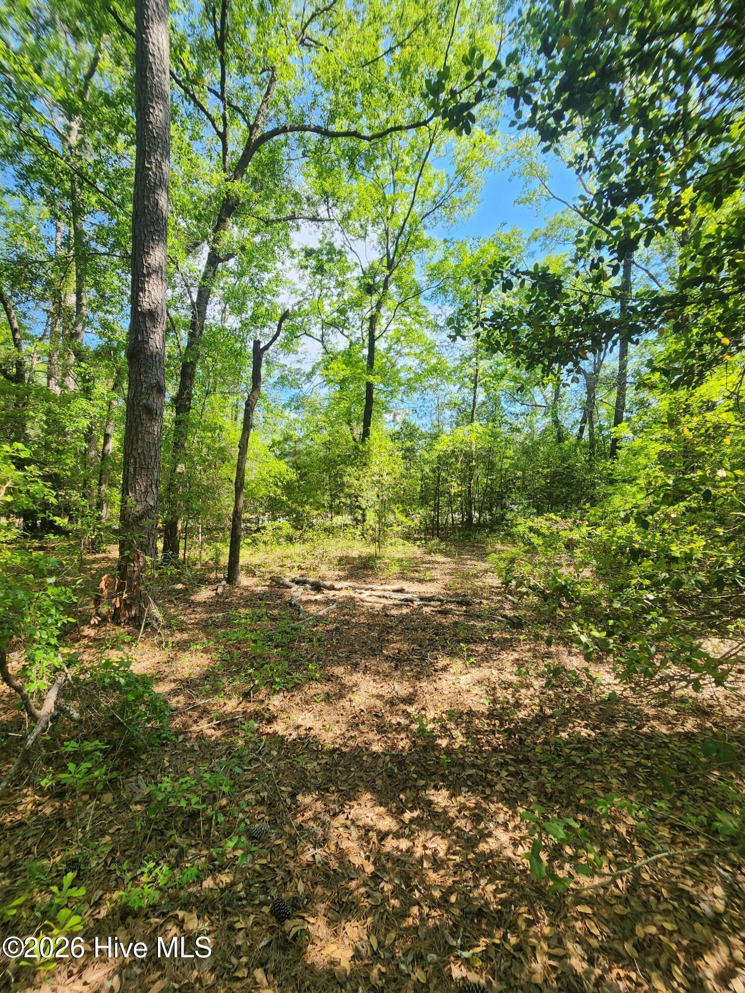 Lot 4 Shaw Highway