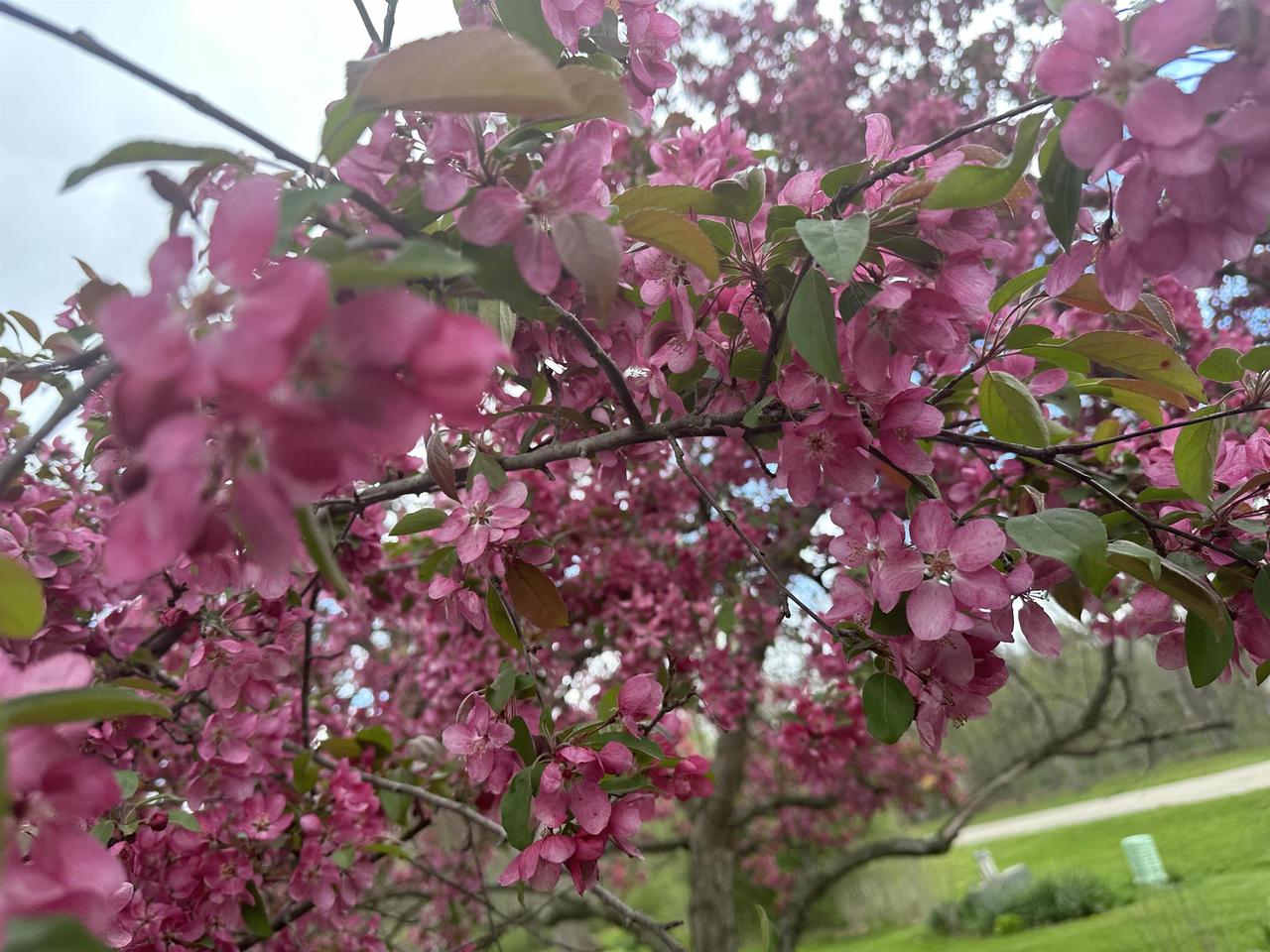 5212 West Deer Run Parkway