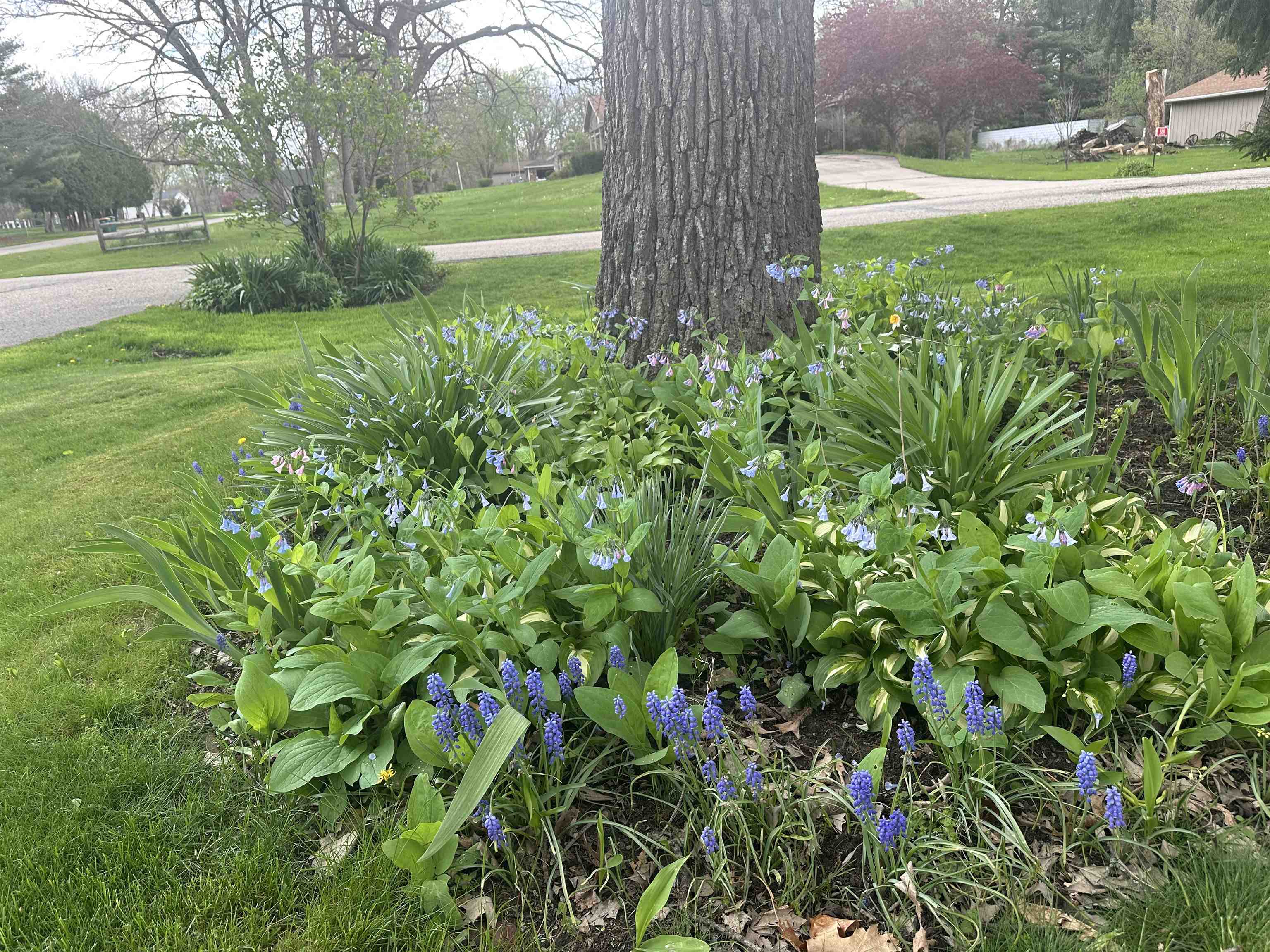 5212 W Deer Run Parkway