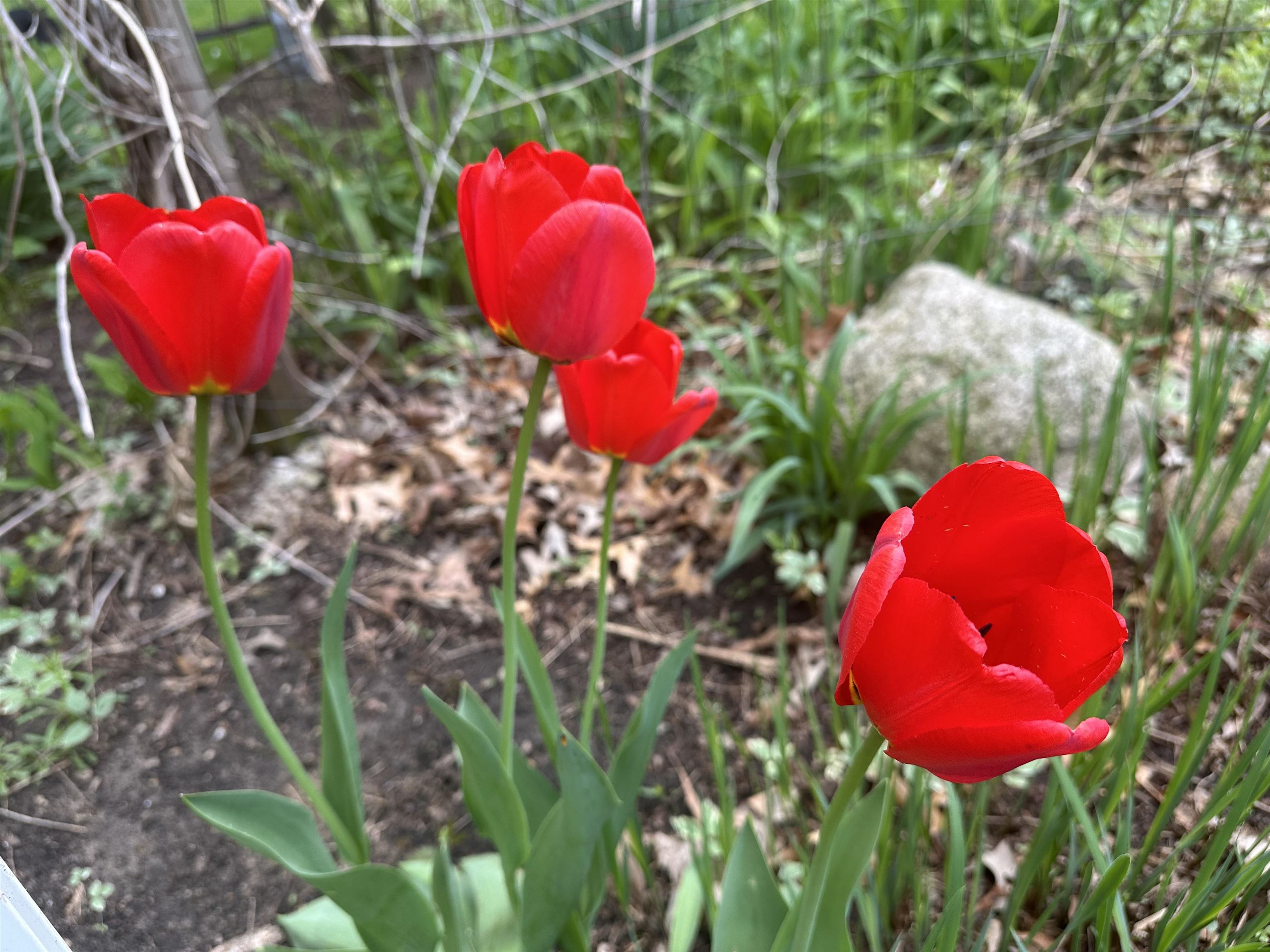 5212 W Deer Run Parkway