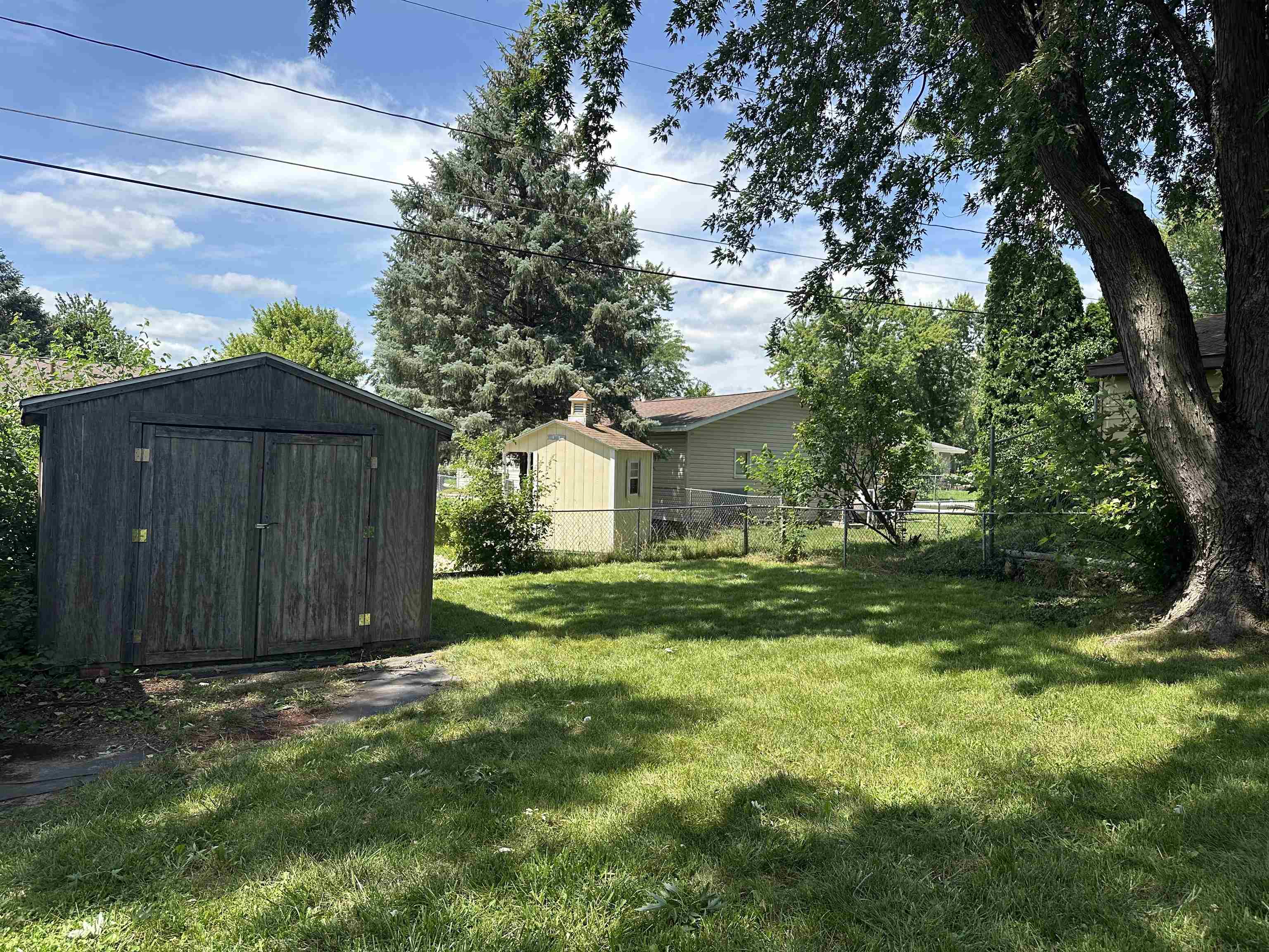 Backyard lawn with a dark wooden shed, chain-link fence, and mature shade trees.