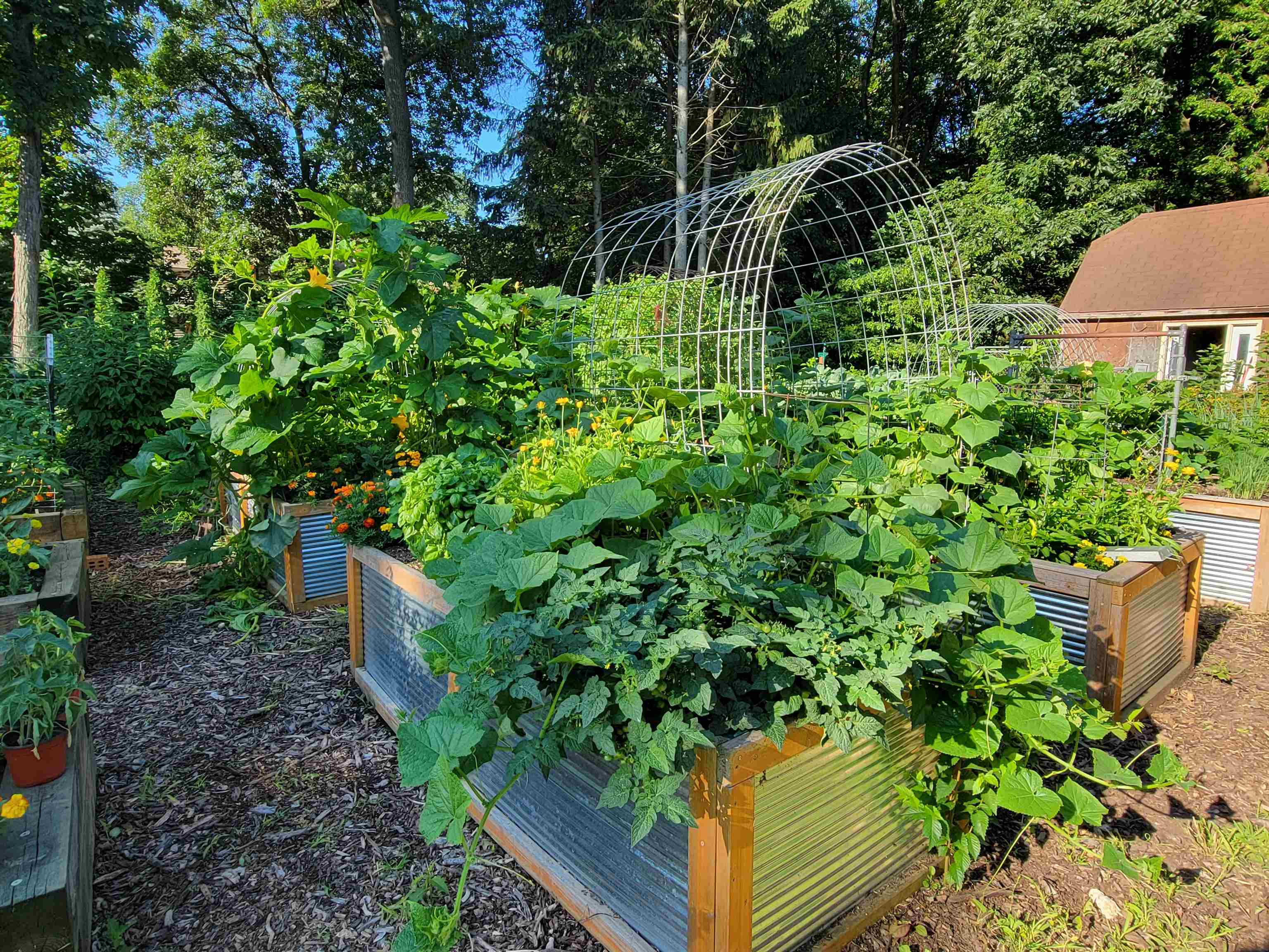 11432 S Smythe School Road