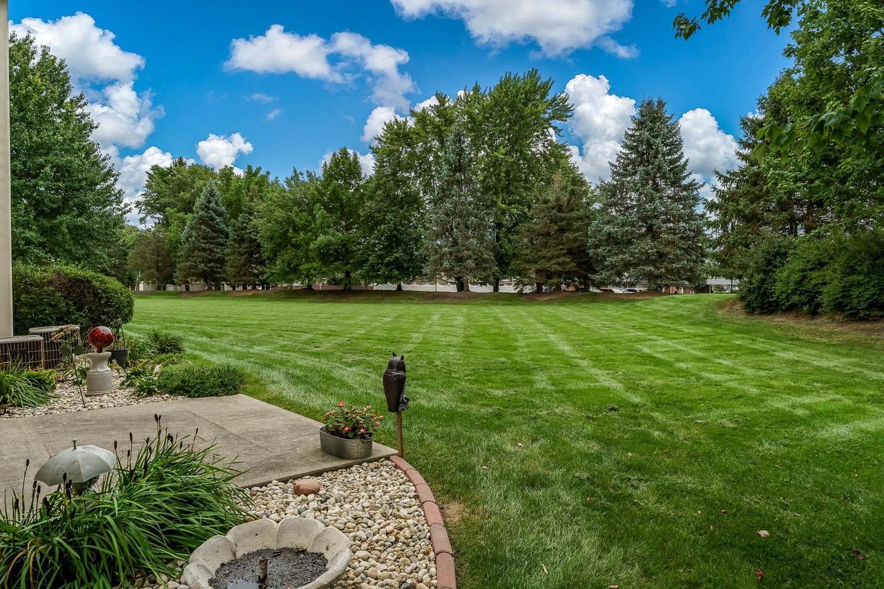 Backyard lawn bordered by mature trees, seen from a stone patio with landscaped garden beds.