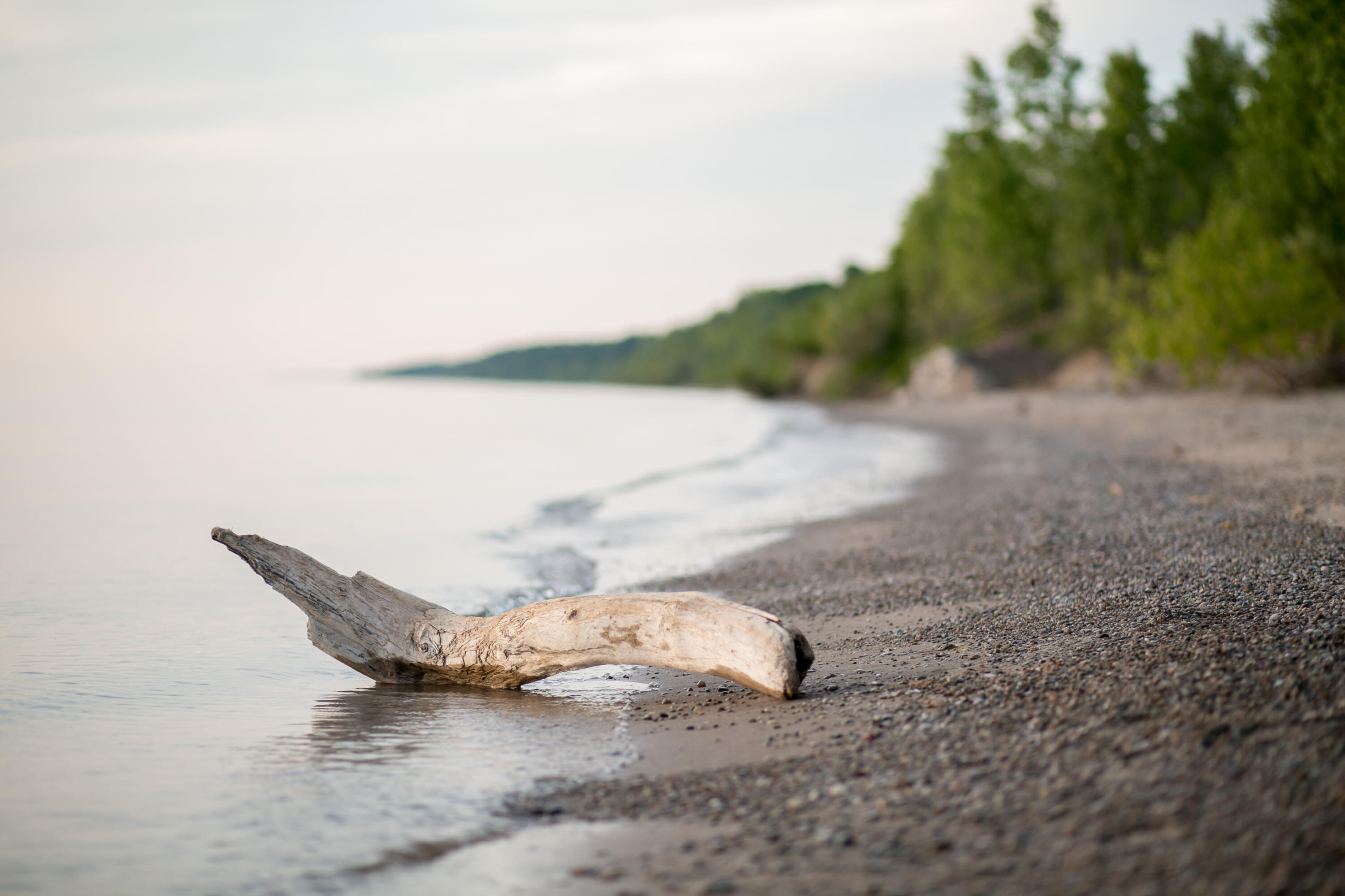 668 Waters Edge Drive, 10