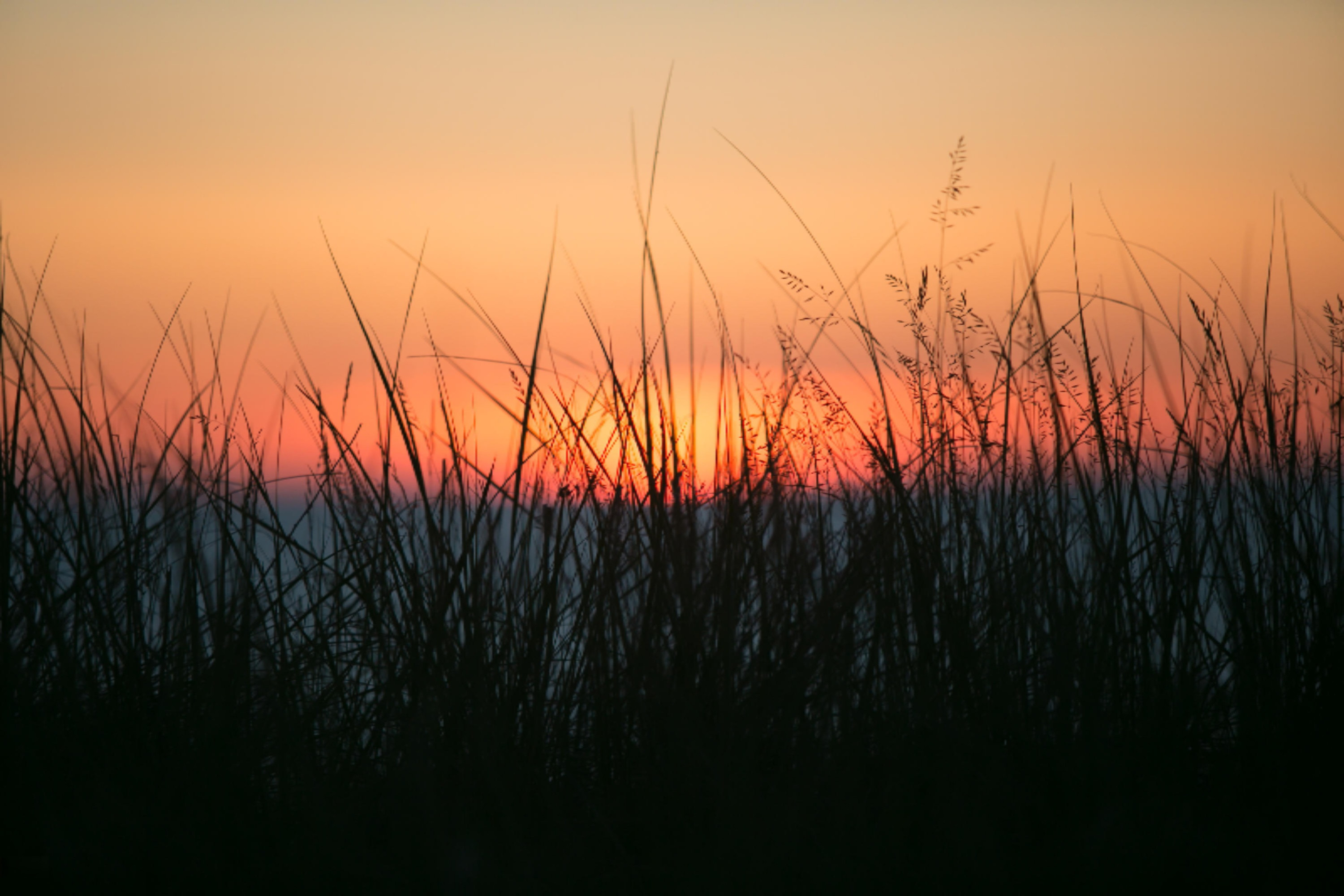 668 Waters Edge Drive, 10