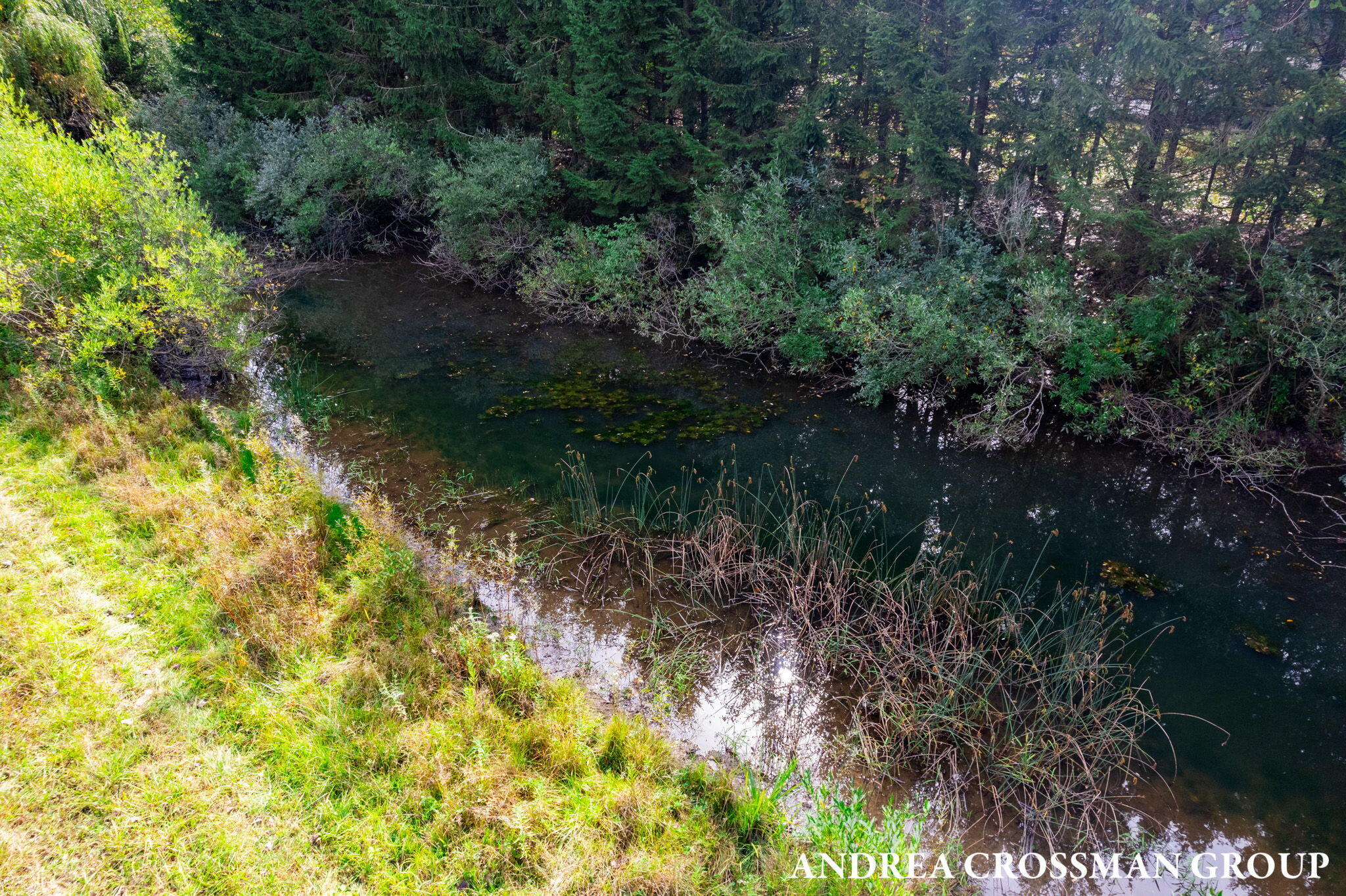 500 Blue Star Highway, 21 Acres