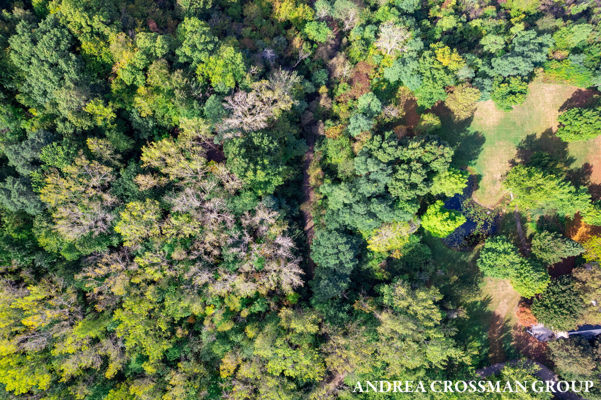 500 Blue Star Highway, 21 Acres