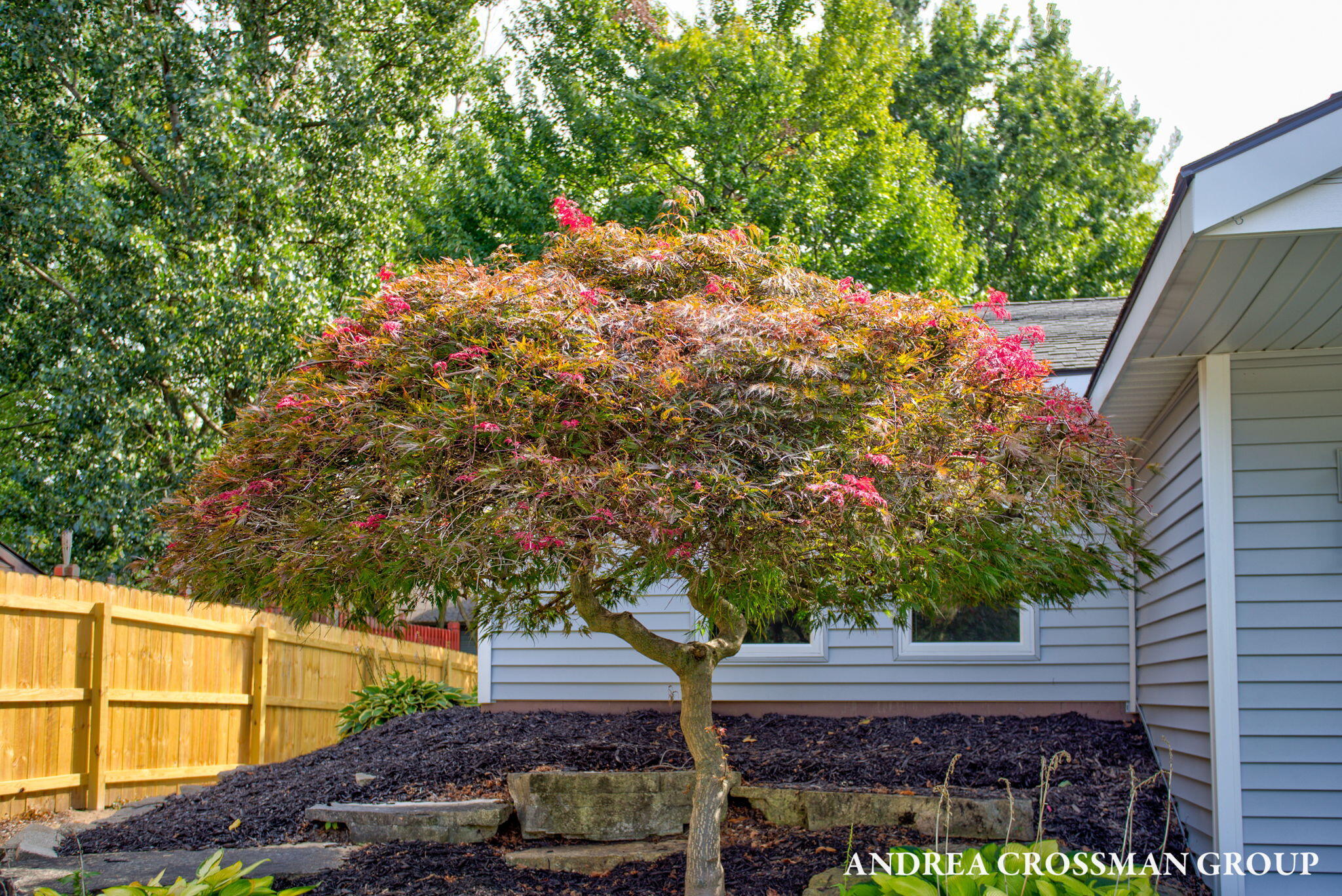 828 Tierra Street SE