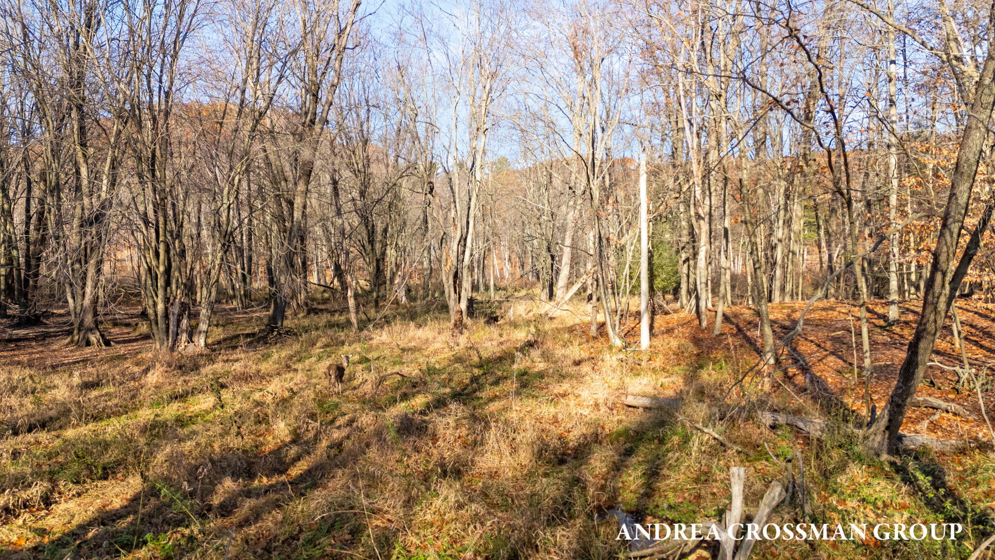 0 Lost Valley Road Lot A