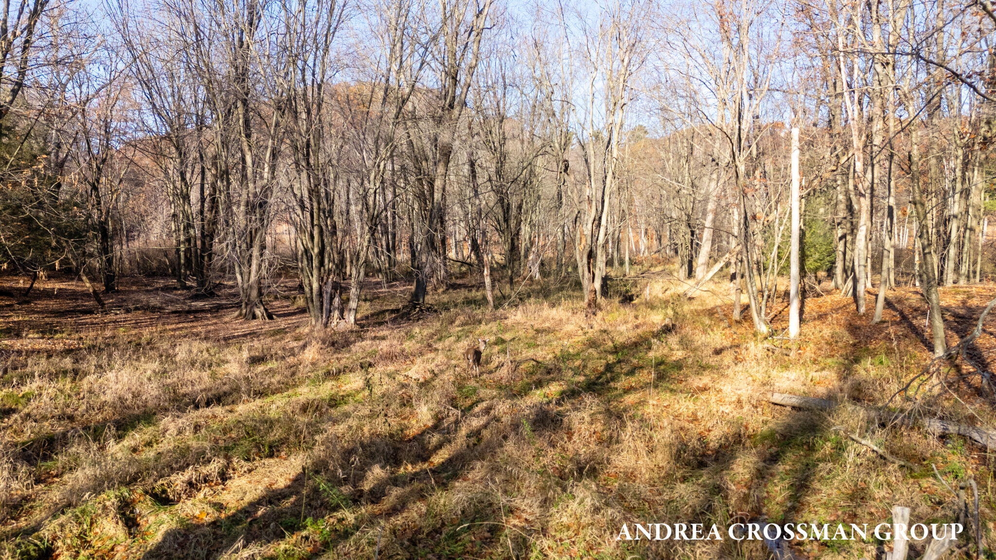 0 Lost Valley Road Lot A