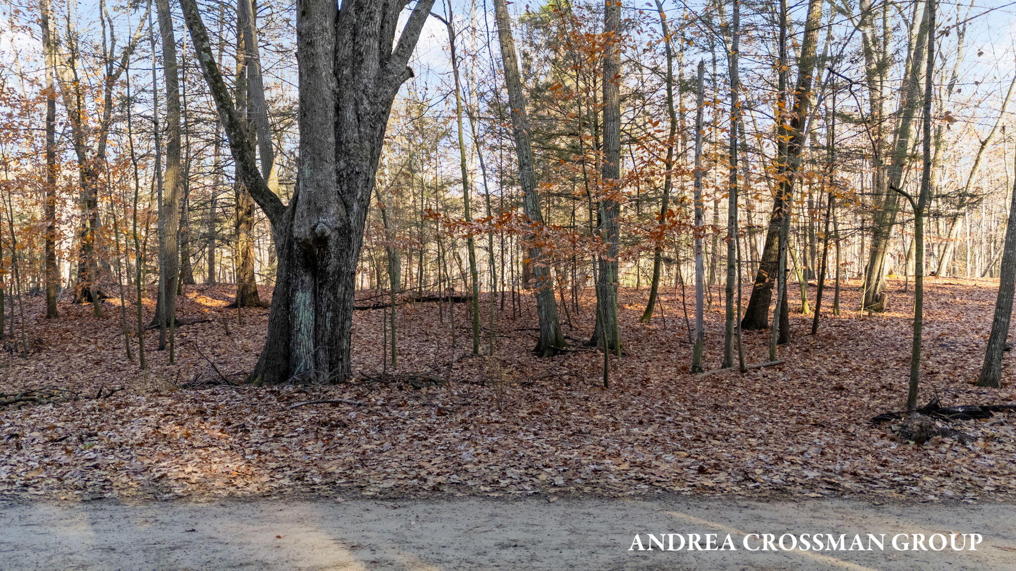 0 Lost Valley Road Lot A