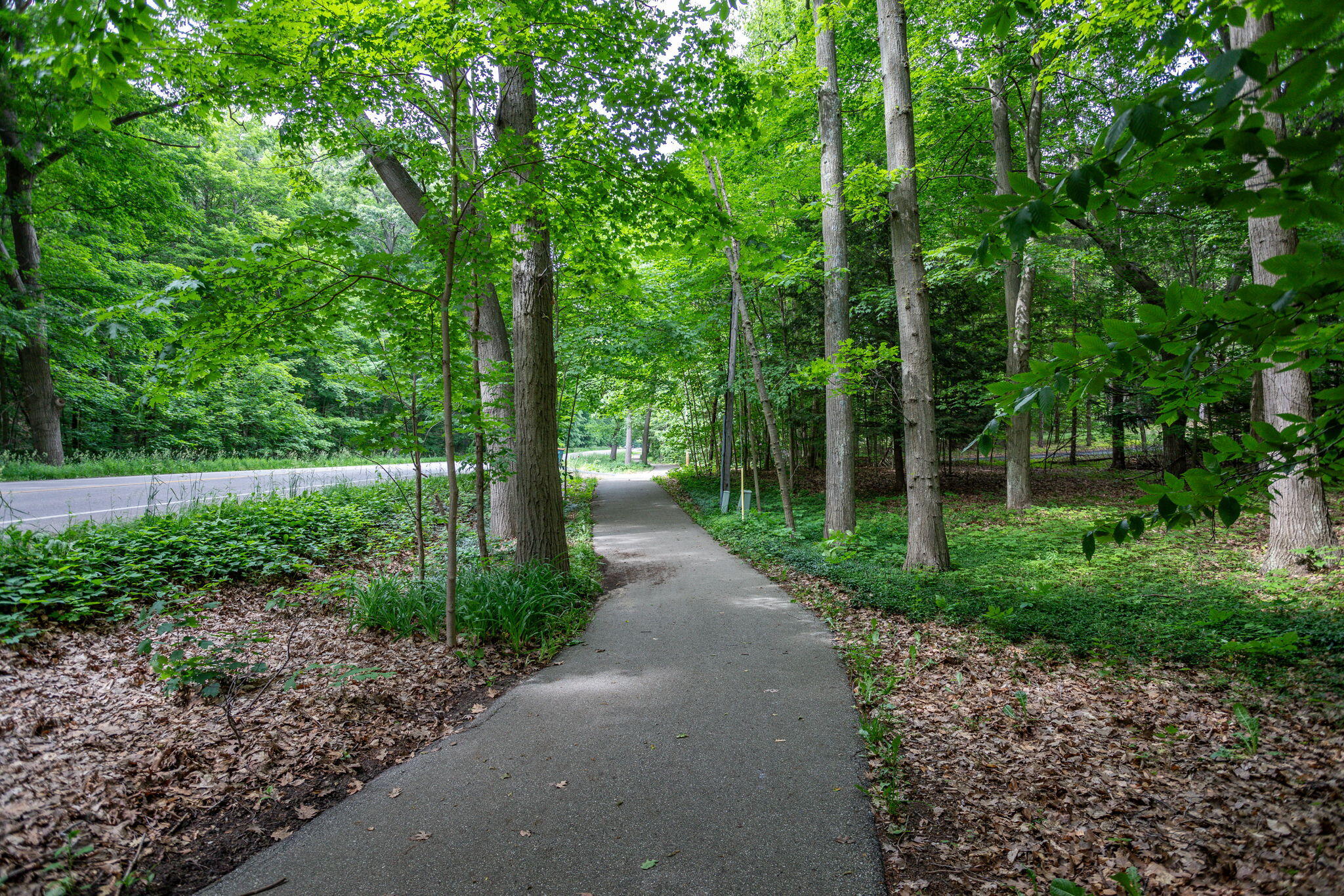 8863 Lakeshore Drive