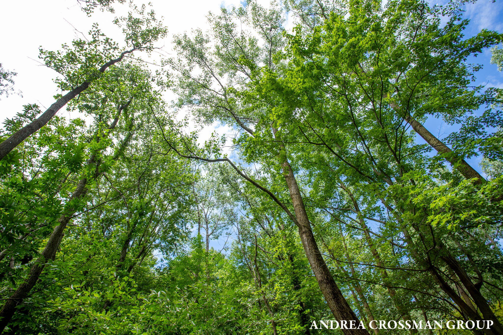 7032 Glenn Oaks Drive