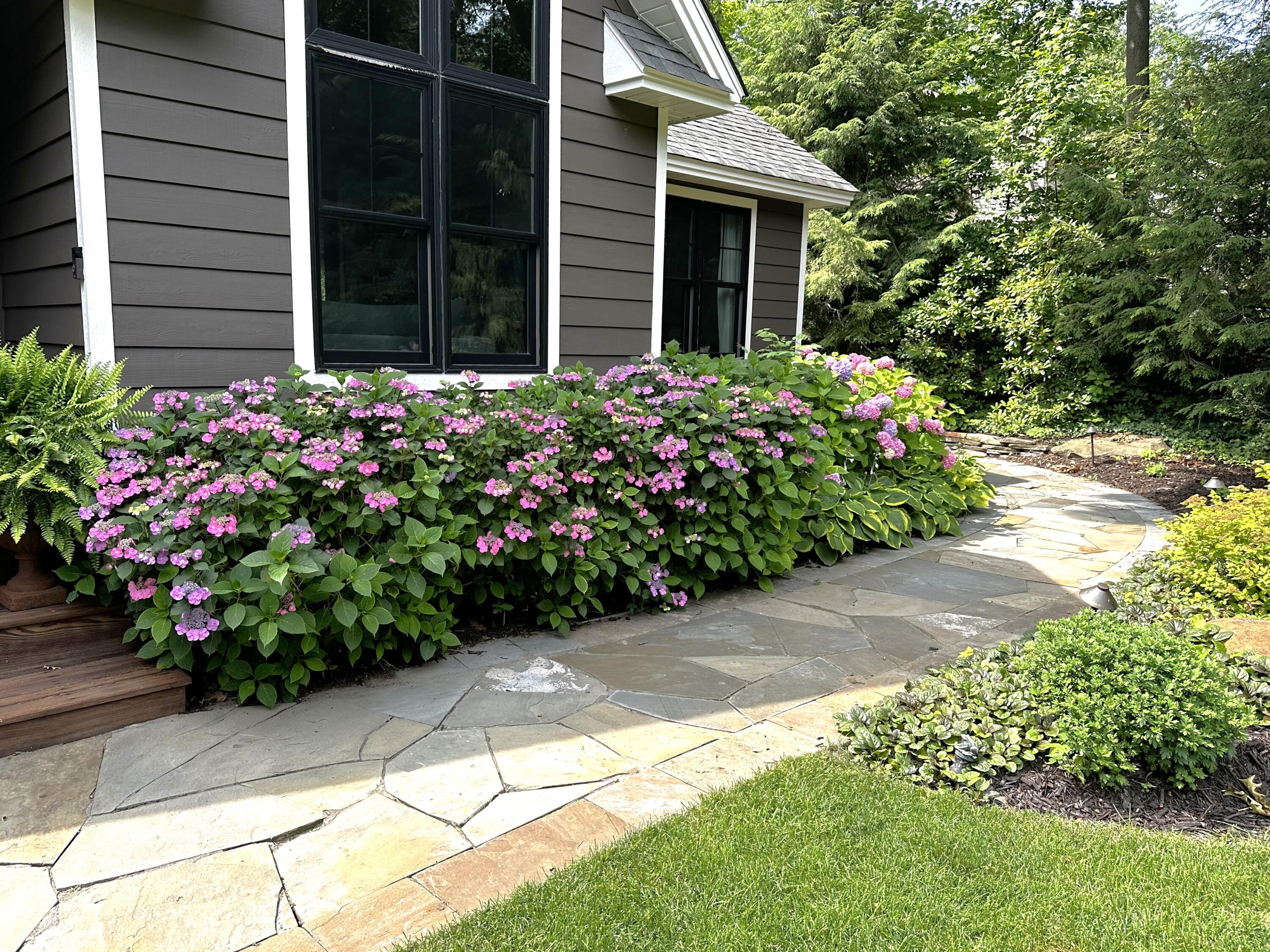 2338 Lakeshore Drive