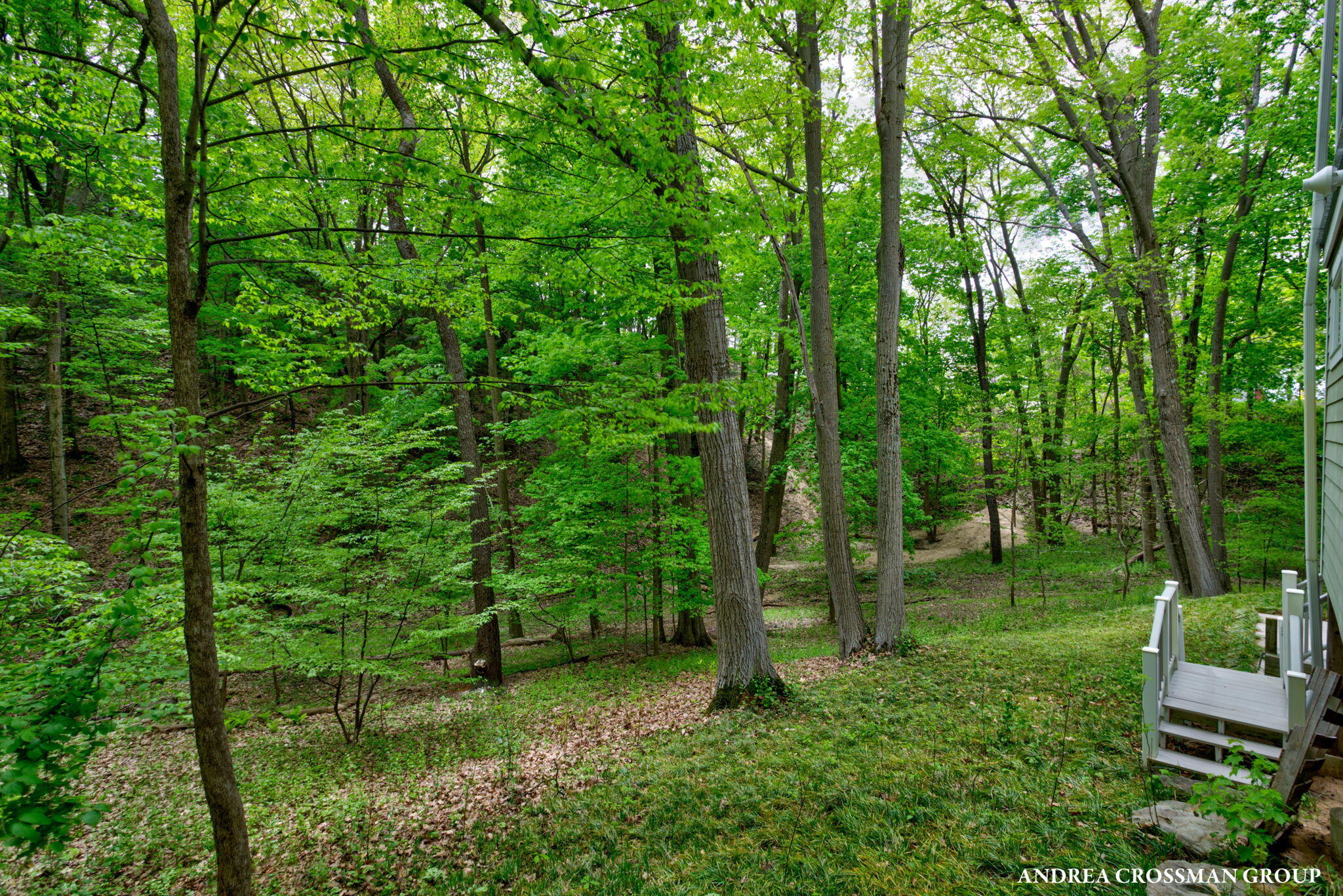 17300 Trillium Ridge