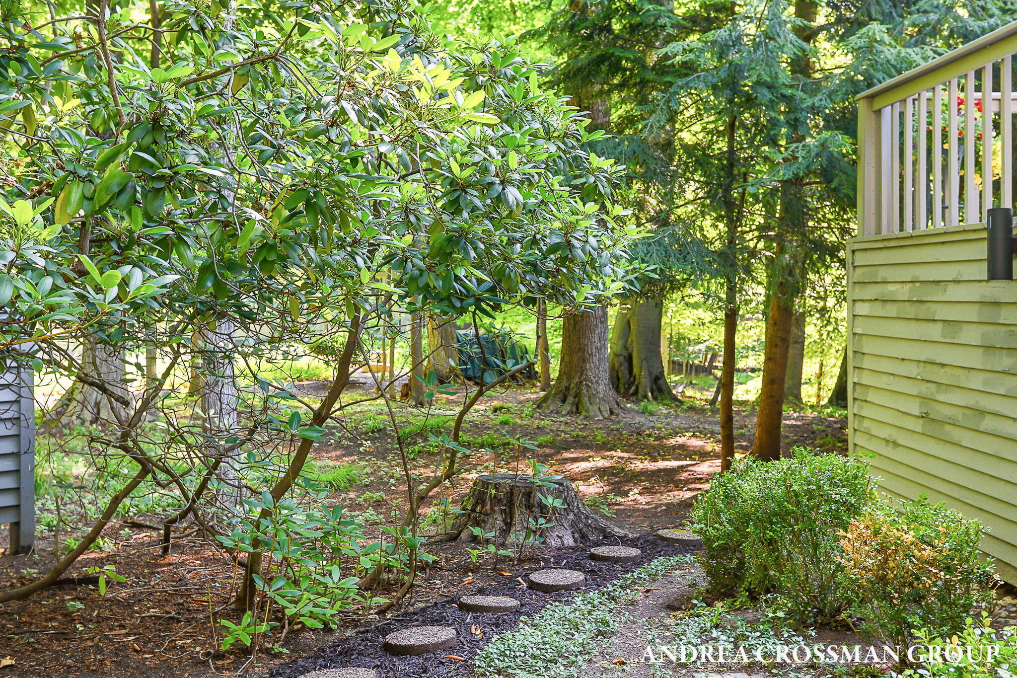 1215 Ash Drive
