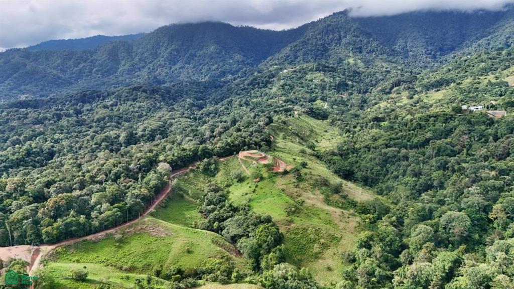 Exclusive Terrace Plot with 1337 m² in Ojochal, Prime Location, Breathtaking Ocean View , Puerto Cortés, Osa, Puntarenas