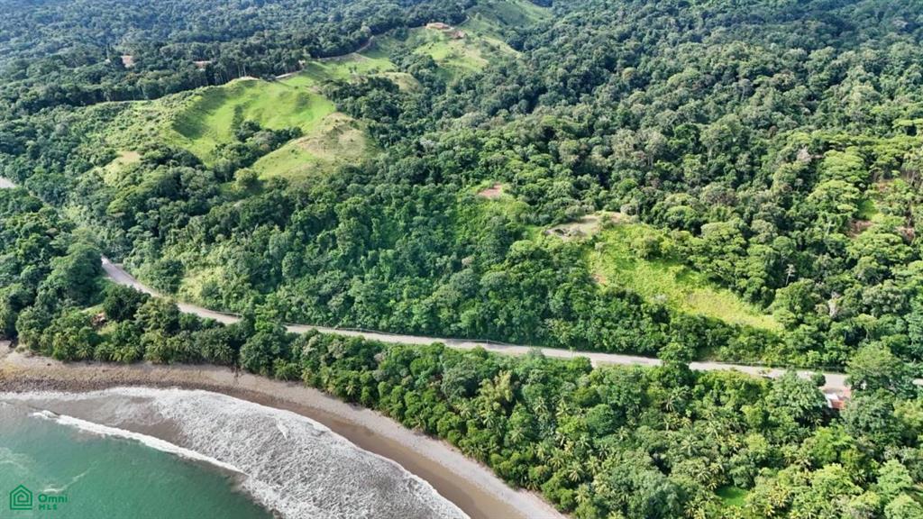 Exclusive Terrace Plot with 1337 m² in Ojochal, Prime Location, Breathtaking Ocean View , Puerto Cortés, Osa, Puntarenas