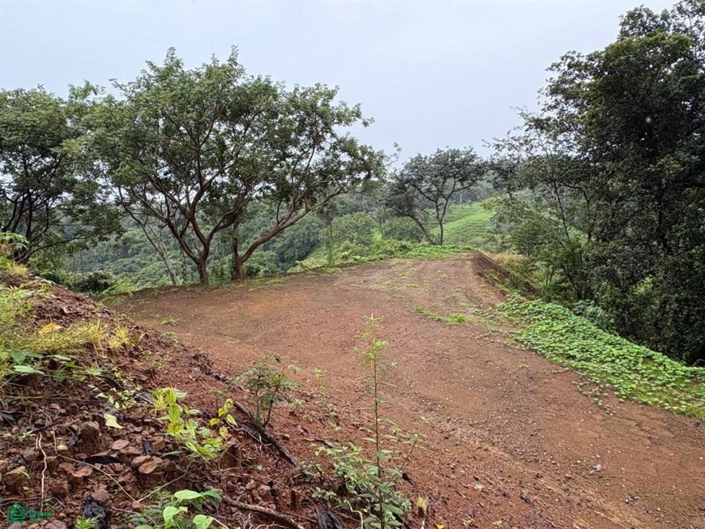 Playa Ostional/Nosara, Playa Azul, Guanacaste