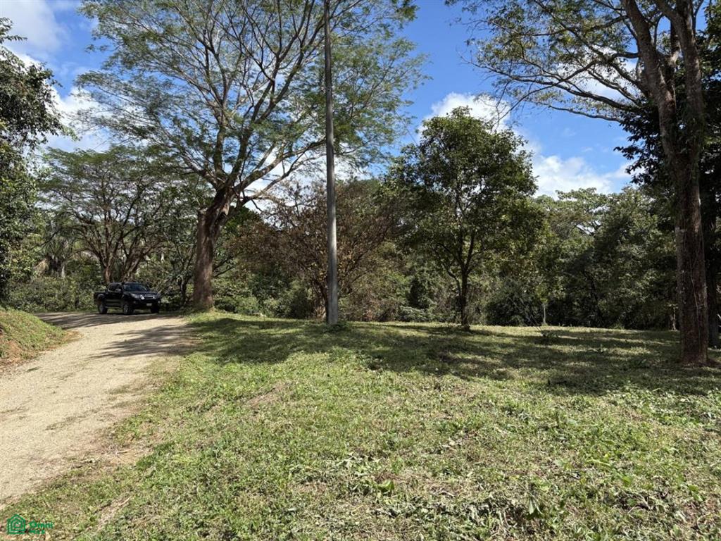 Playa Ostional/Nosara, Playa Azul, Guanacaste