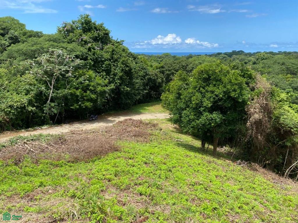 , Playa Azul, Guanacaste