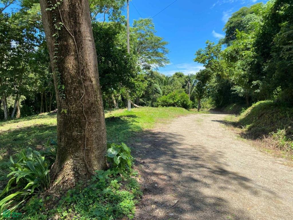 Playa Ostional/Nosara, Playa Azul, Guanacaste