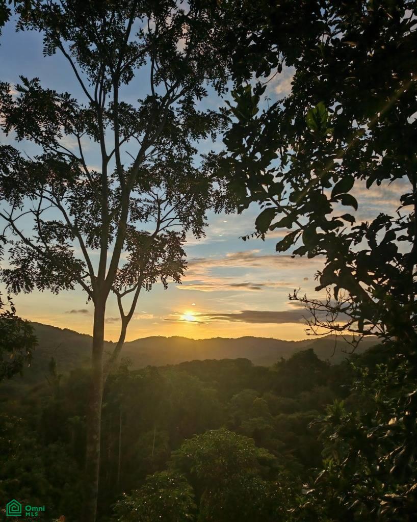 Finca Vida Orgánica , Barú, Perez Zeledon, San Jose