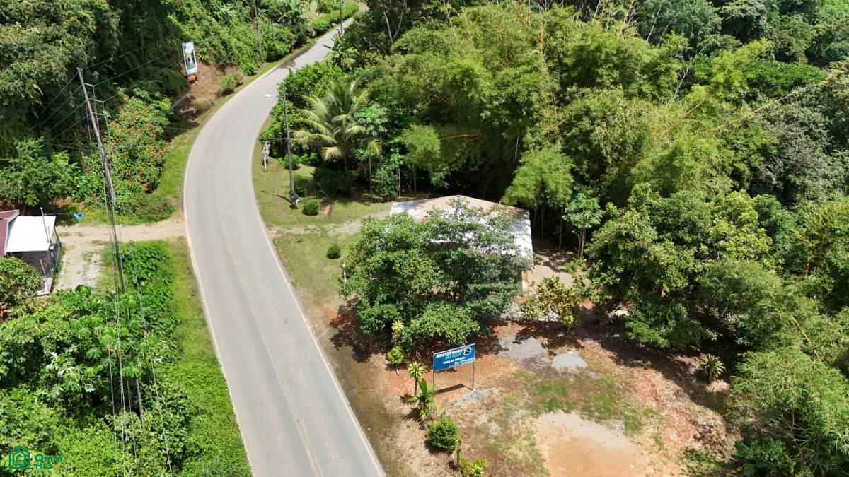 Finca Vida Orgánica , Barú, Perez Zeledon, San Jose