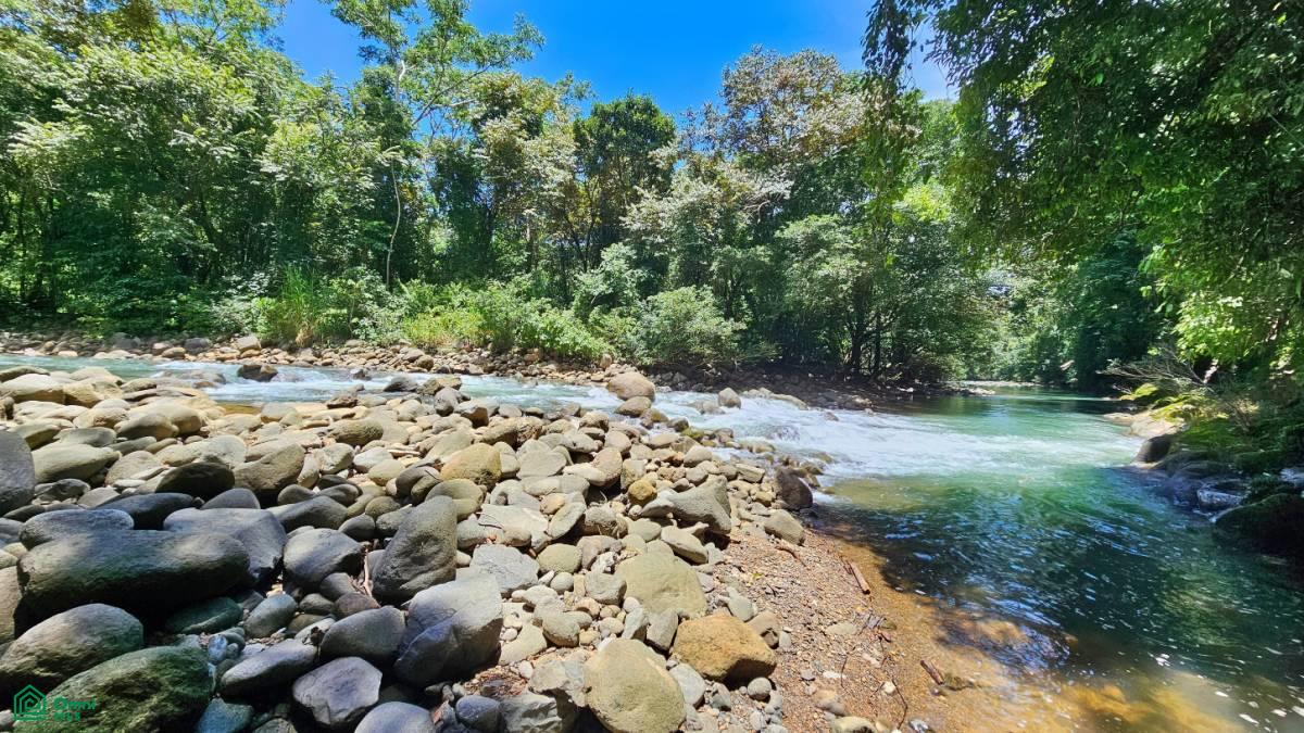 Finca Vida Orgánica , Barú, Perez Zeledon, San Jose