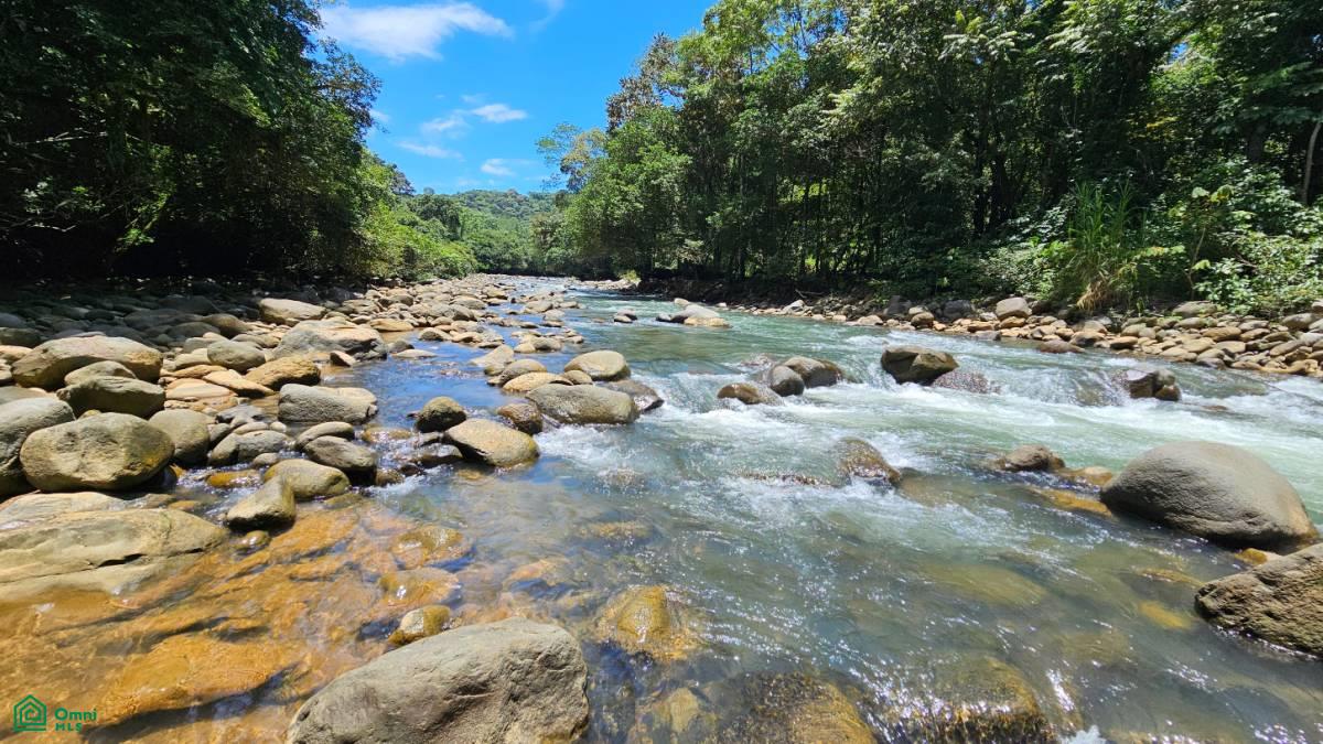 Finca Vida Orgánica , Barú, Perez Zeledon, San Jose