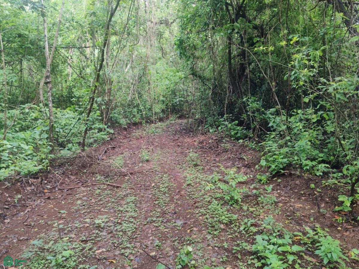 Finca Nandayure , Carmona, Nandayure, Guanacaste