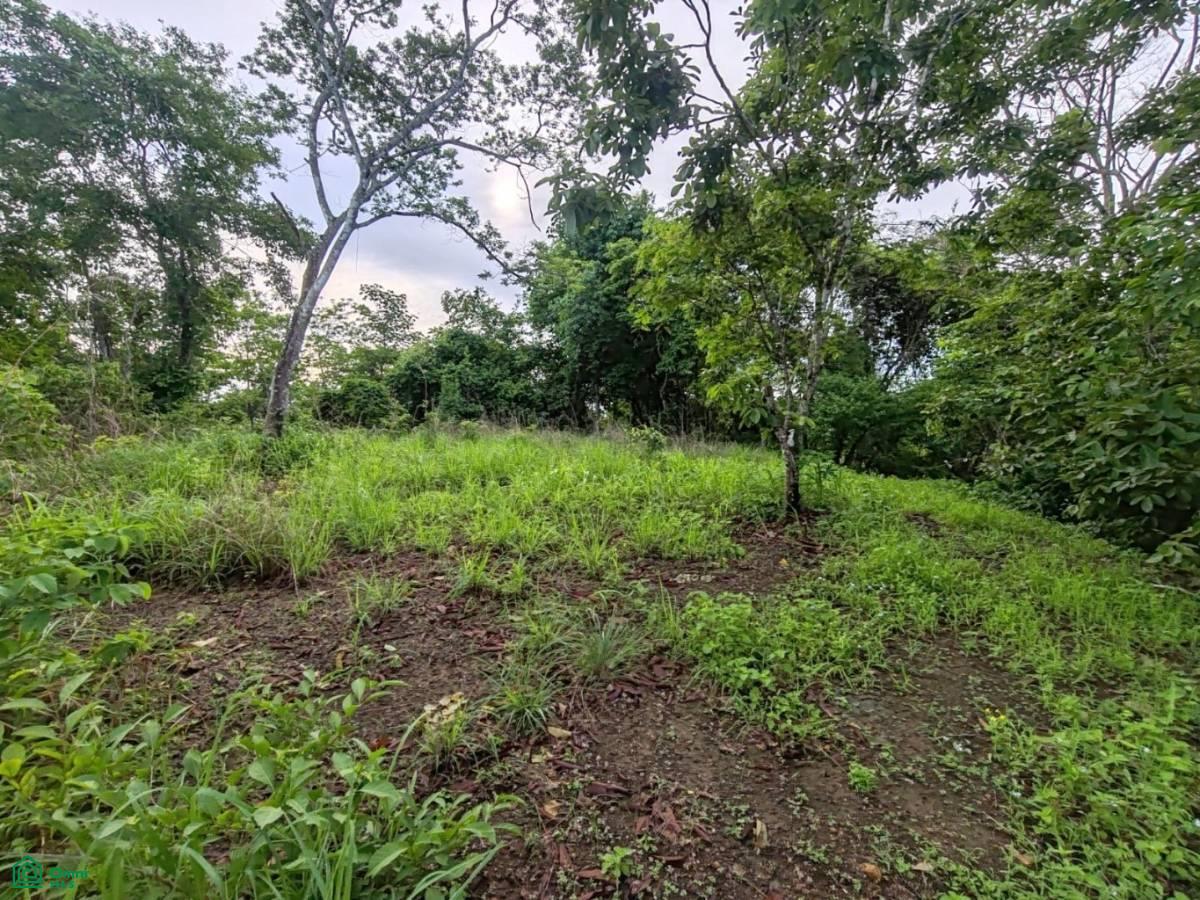 Finca Nandayure , Carmona, Nandayure, Guanacaste