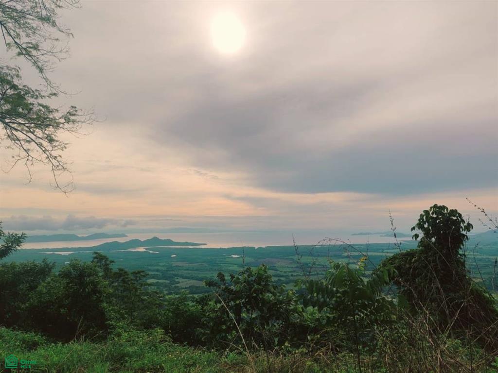 Finca Nandayure , Carmona, Nandayure, Guanacaste