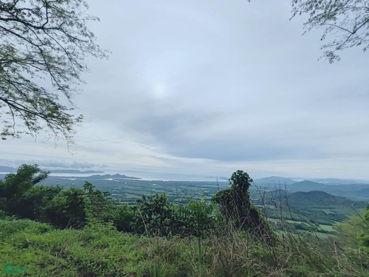 Finca Nandayure , Carmona, Nandayure, Guanacaste