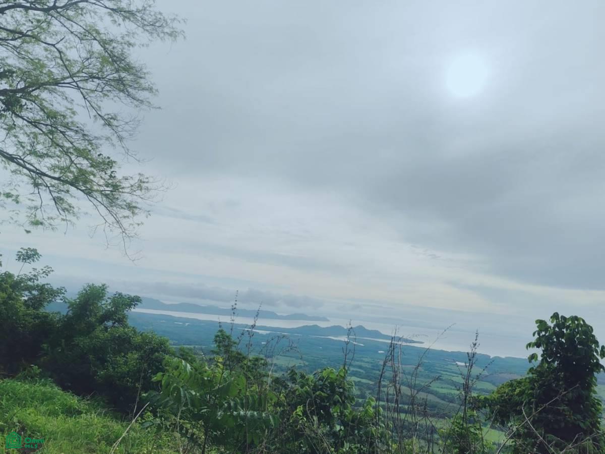 Finca Nandayure , Carmona, Nandayure, Guanacaste
