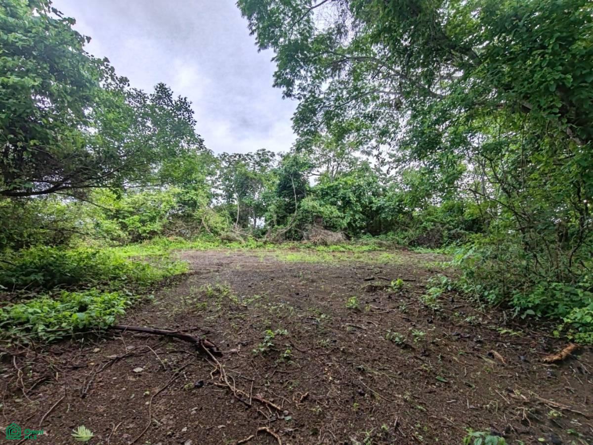 Finca Nandayure , Carmona, Nandayure, Guanacaste