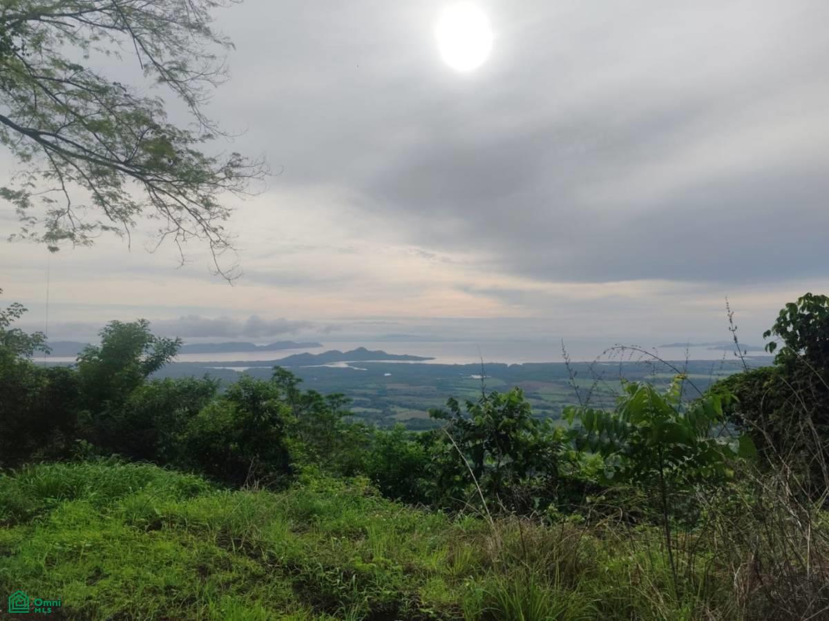 Finca Nandayure , Carmona, Nandayure, Guanacaste
