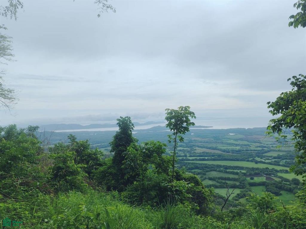Finca Nandayure , Carmona, Nandayure, Guanacaste