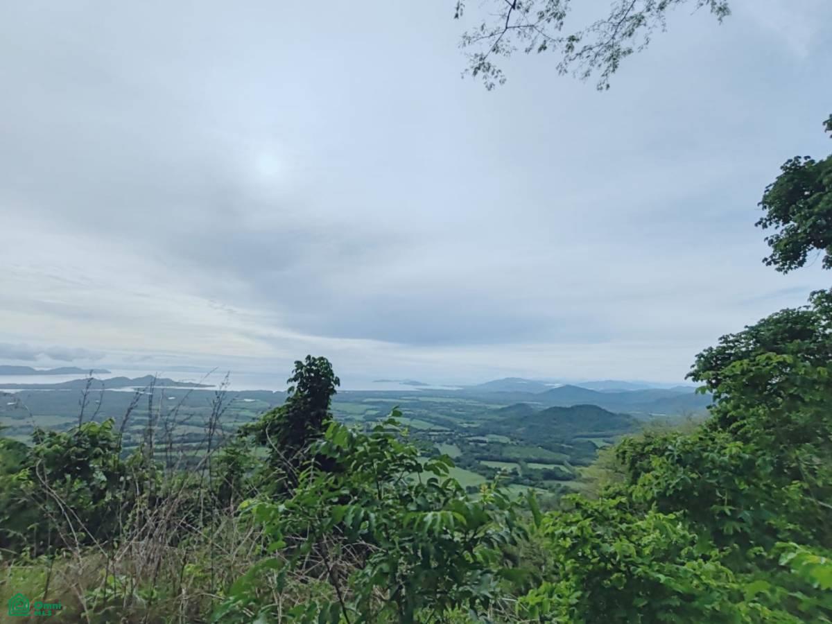 Finca Nandayure , Carmona, Nandayure, Guanacaste