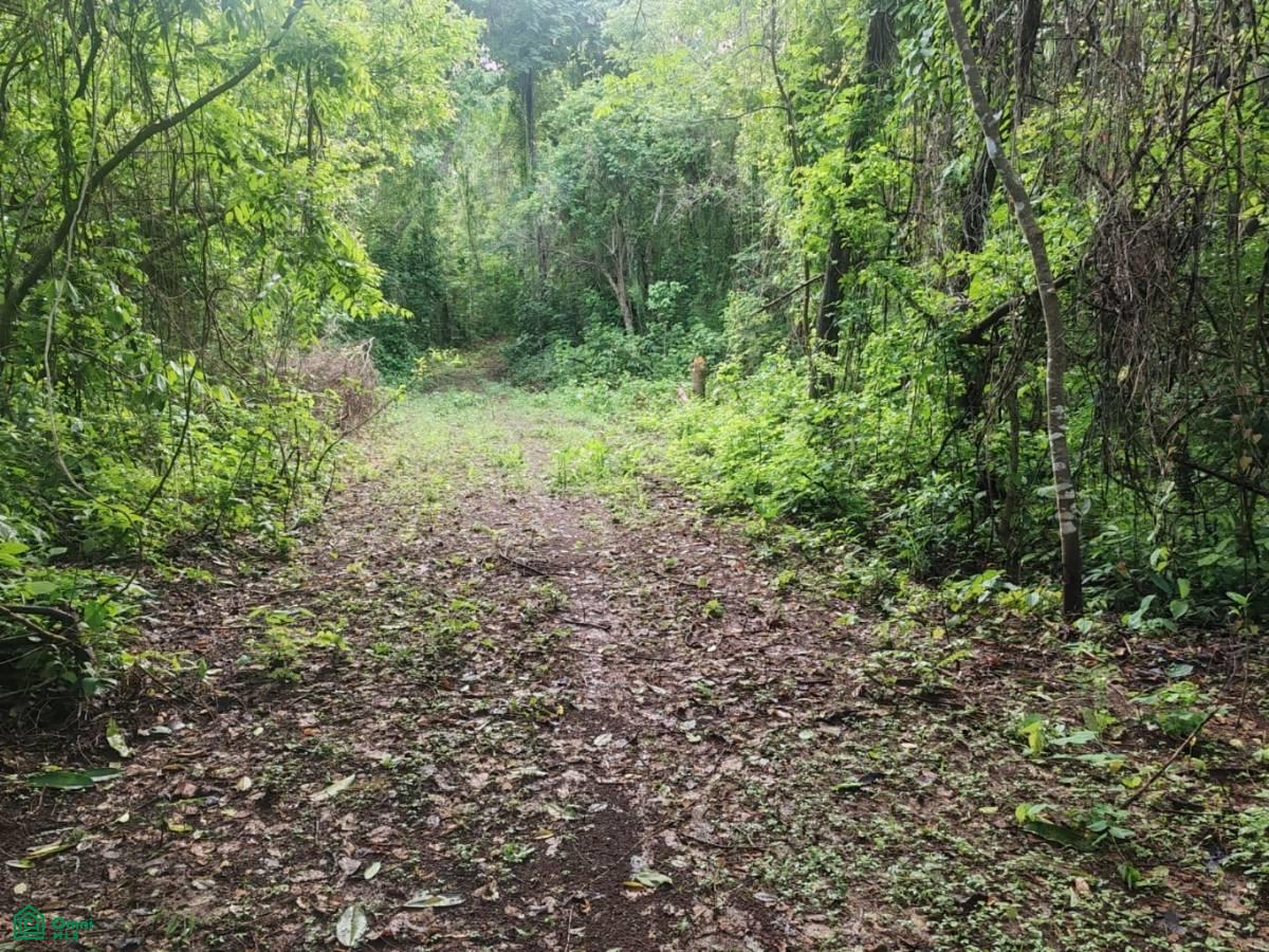 Finca Nandayure , Carmona, Nandayure, Guanacaste