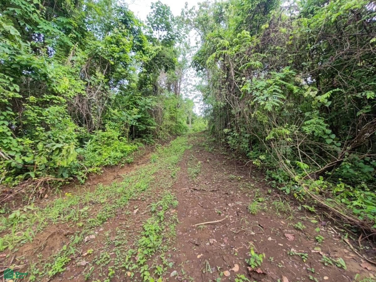 Finca Nandayure , Carmona, Nandayure, Guanacaste