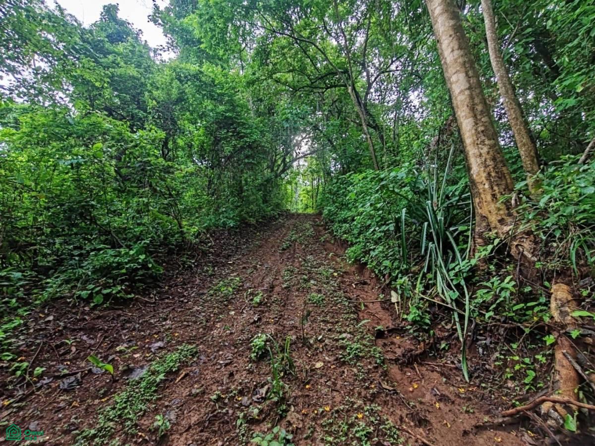 Finca Nandayure , Carmona, Nandayure, Guanacaste