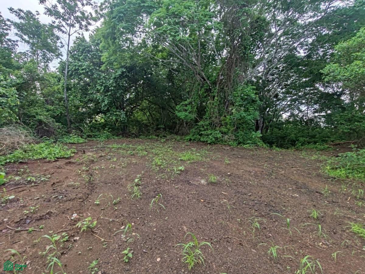 Finca Nandayure , Carmona, Nandayure, Guanacaste